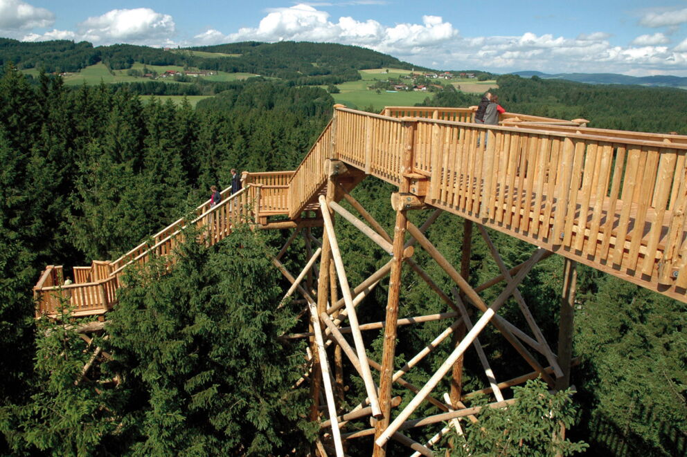 Wooden scaffolding of the treetop path in Kopfing between the treetops.