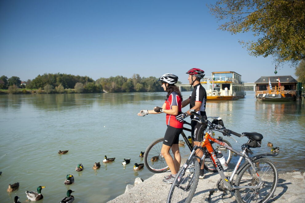 Zwei Radfahrer auf dem Inn beim Füttern der heimischen Enten im Innviertel in Ried