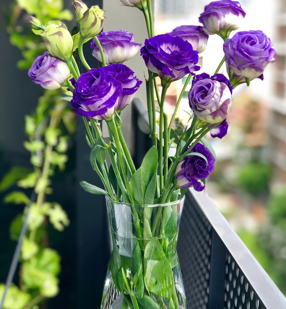 Flowers in the colour purple in a vase.
