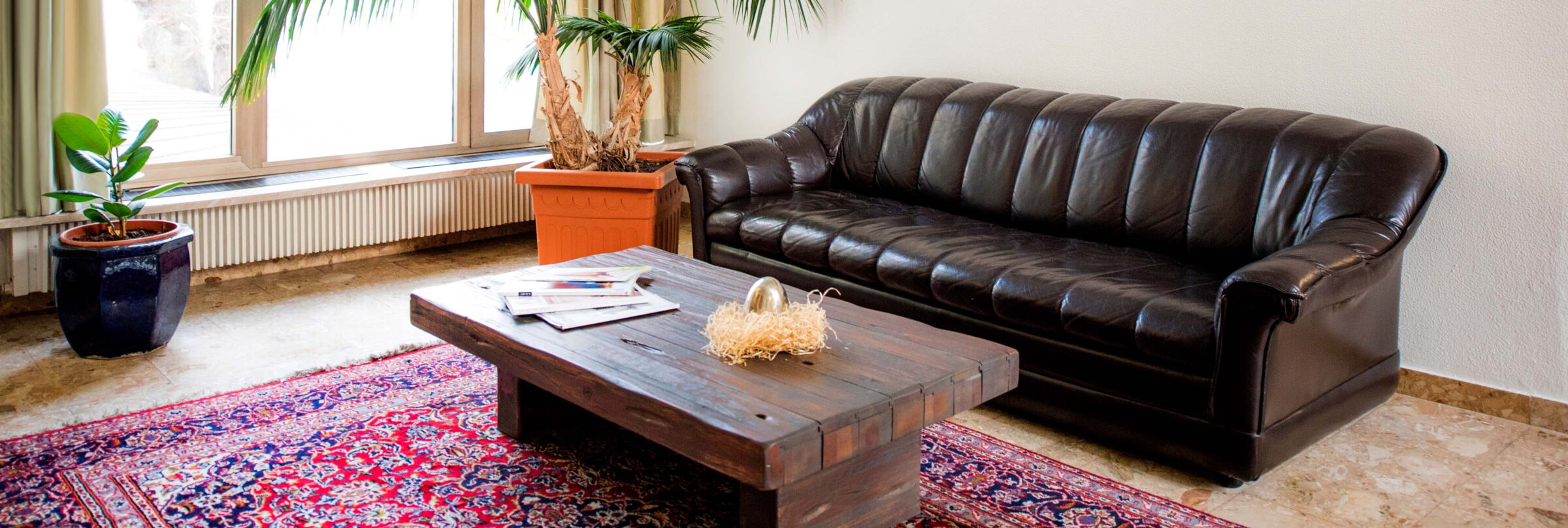 Cozy sitting area with a black couch, a small table and a beautiful tall houseplant